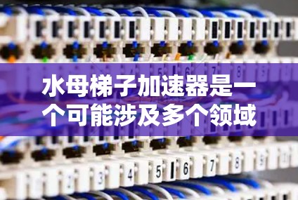 水母梯子加速器是一个可能涉及多个领域的概念，其具体含义和应用取决于上下文。以下是对该概念的详细分析