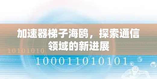 加速器梯子海鸥,探索通信领域的新进展 加速器梯子海鸥,探索通信领域的新进展