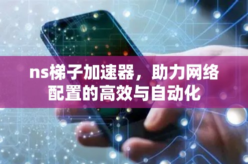 ns梯子加速器,助力网络配置的高效与自动化