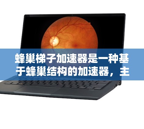 蜂巢梯子加速器是一种基于蜂巢结构的加速器，主要应用于并行计算和分布式架构中。以下是关于蜂巢梯子加速器的详细总结