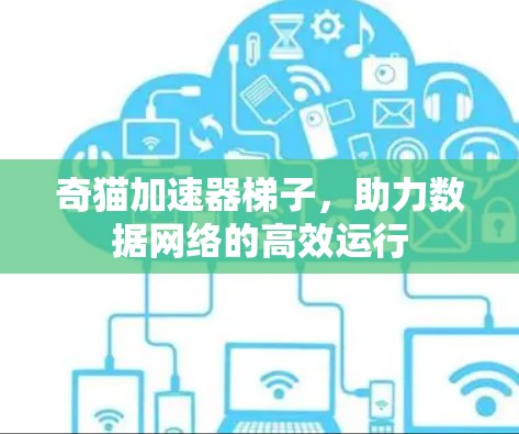 奇猫加速器梯子,助力数据网络的高效运行 奇猫加速器梯子,助力数据网络的高效运行