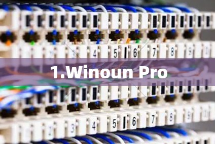 1.Winoun Pro