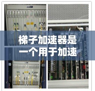 梯子加速器是一个用于加速机器学习模型推理的工具,其资源包括以下几个关键组件 梯子加速器是一个用于加速机器学习模型推理的工具,其资源包括以下几个关键组件