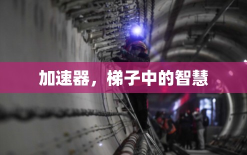 加速器，梯子中的智慧
