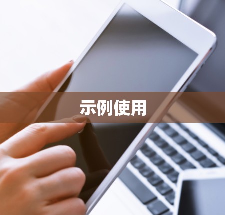 示例使用 示例使用