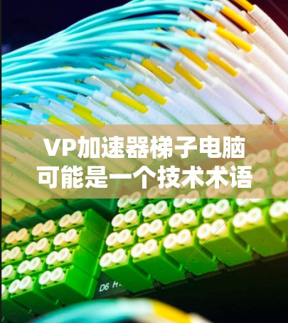 VP加速器梯子电脑可能是一个技术术语或用户输入，需要根据上下文来理解。以下是对相关概念的解释和建议