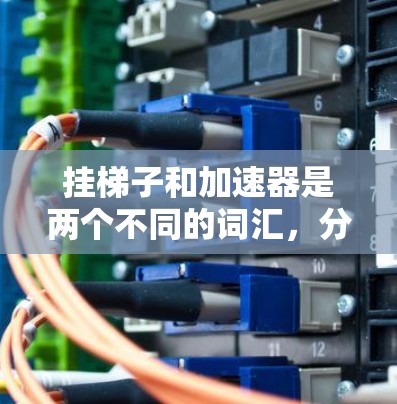 挂梯子和加速器是两个不同的词汇，分别在语言学和科技领域有不同的含义