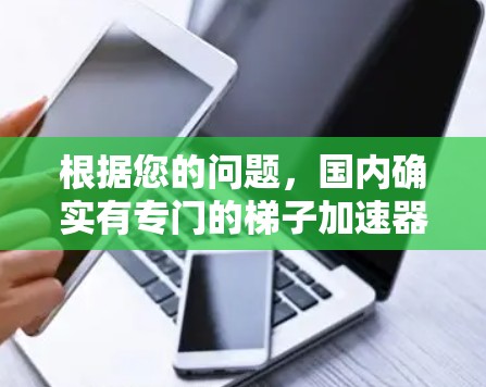 根据您的问题，国内确实有专门的梯子加速器和翻滚器，这些设备可以帮助加速梯子的移动或提升物体。以下是对这些设备的详细说明