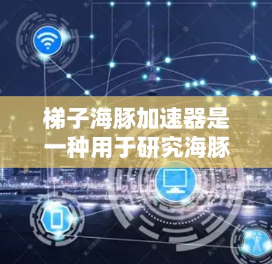 梯子海豚加速器是一种用于研究海豚的工具，通常由梯子和加速器组成。以下是使用梯子海豚加速器的步骤和注意事项