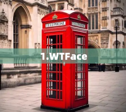 1.WTFace