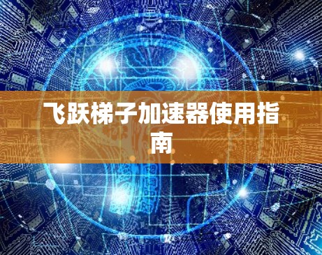 飞跃梯子加速器使用指南