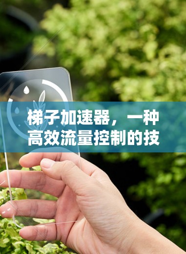 梯子加速器，一种高效流量控制的技术