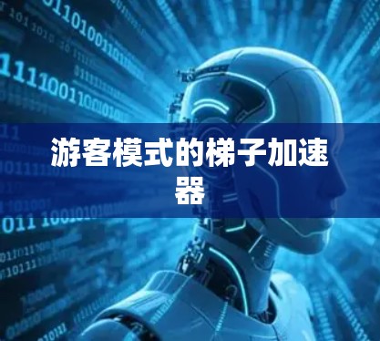 游客模式的梯子加速器