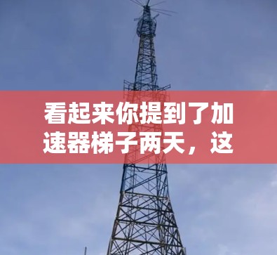 看起来你提到了加速器梯子两天，这可能是指在某个领域（如技术、产品或项目管理）中需要两天的时间来完成某种任务或优化。为了更好地帮助你，我需要了解以下信息
