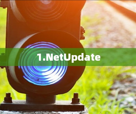 1.NetUpdate 1.NetUpdate