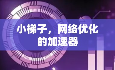 小梯子,网络优化的加速器 小梯子,网络优化的加速器