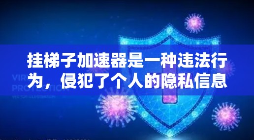 挂梯子加速器是一种违法行为，侵犯了个人的隐私信息和个人信息保护的法律义务。根据中国网络安全法及相关法律法规，任何个人或组织如果违反了网络安全相关法律，都将面临相应的法律责任