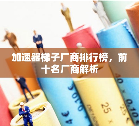 加速器梯子厂商排行榜，前十名厂商解析
