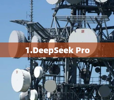 1.DeepSeek Pro 1.DeepSeek Pro