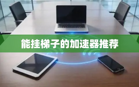 能挂梯子的加速器推荐 能挂梯子的加速器推荐