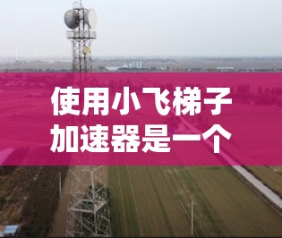 使用小飞梯子加速器是一个有效的方法来加速视频播放，尤其是在手机上观看视频时。以下是使用小飞梯子加速器的步骤指南
