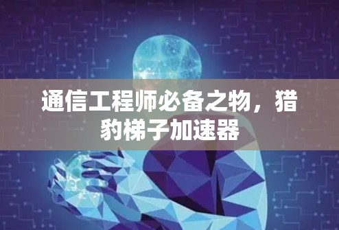 通信工程师必备之物，猎豹梯子加速器