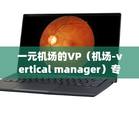 一元机场的VP（机场-vertical manager）专注于优化机场的地面设施和服务，以满足单点机场的需求。以下是关于一元机场VP的详细说明