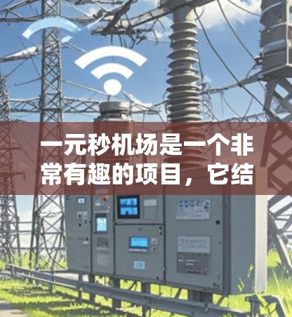 一元秒机场是一个非常有趣的项目，它结合了机场的高效管理和低成本运营。以下是一些关键点的总结