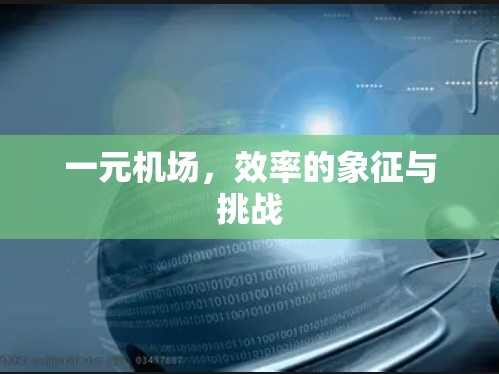 一元机场,效率的象征与挑战 一元机场,效率的象征与挑战