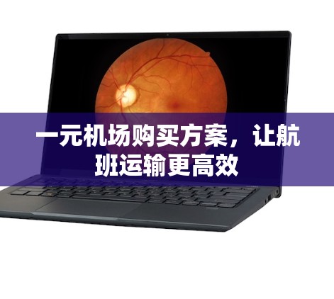 一元机场购买方案,让航班运输更高效 一元机场购买方案,让航班运输更高效