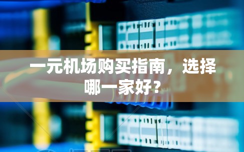 一元机场购买指南，选择哪一家好？