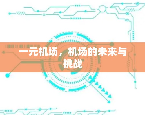 一元机场，机场的未来与挑战