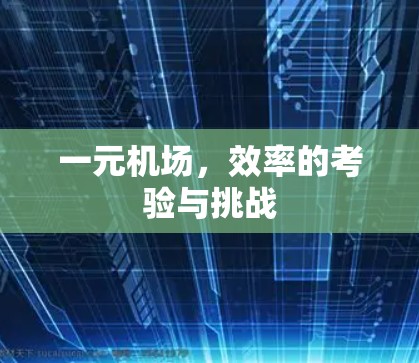 一元机场，效率的考验与挑战