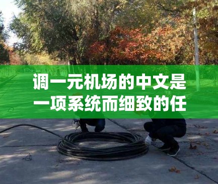 调一元机场的中文是一项系统而细致的任务,需要从多个方面进行规划和执行。以下是详细的步骤指南 调一元机场的中文是一项系统而细致的任务,需要从多个方面进行规划和执行。以下是详细的步骤指南