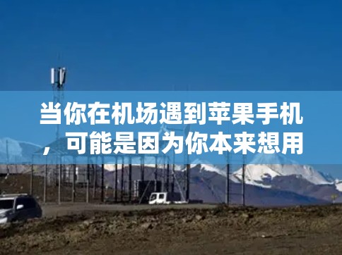 当你在机场遇到苹果手机，可能是因为你本来想用手机支付，或者想体验一下机场的购物环境，但苹果手机可能在机场比较少见，或者你觉得不够安全，或者觉得不太方便。以下是一些可能的解决方法