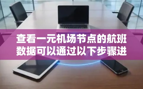 查看一元机场节点的航班数据可以通过以下步骤进行