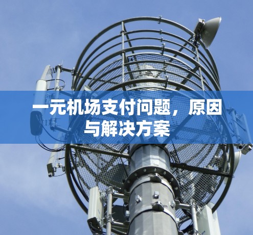 一元机场支付问题，原因与解决方案