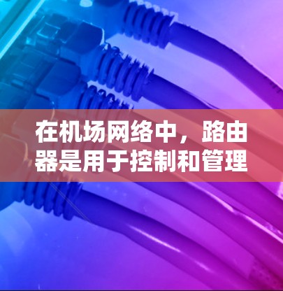在机场网络中，路由器是用于控制和管理机房连接的关键设备。在 一元机场 中，由于机场只有一个机房，路由器的作用更加关键，因为它负责确保信号线的正确连接和信号的正常传递