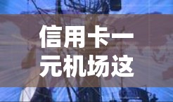 信用卡一元机场这个词组可能指的是通过信用卡消费一元即可享受机场服务或优惠。以下是一些可能的解释和建议 信用卡一元机场这个词组可能指的是通过信用卡消费一元即可享受机场服务或优惠。以下是一些可能的解释和建议