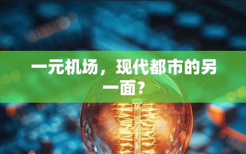 一元机场，现代都市的另一面？