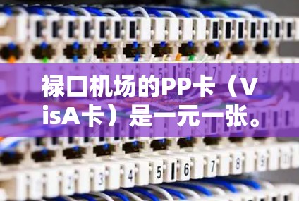 禄口机场的PP卡（VisA卡）是一元一张。以下是关于如何使用这张卡的详细步骤