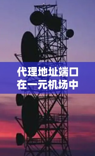 代理地址端口在一元机场中用于用户管理和服务分配。以下是详细的步骤说明