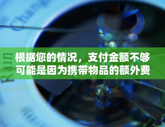 根据您的情况，支付金额不够可能是因为携带物品的额外费用、带的钱数量不足或需要额外支付的费用。以下是一些可能的原因和解决方案