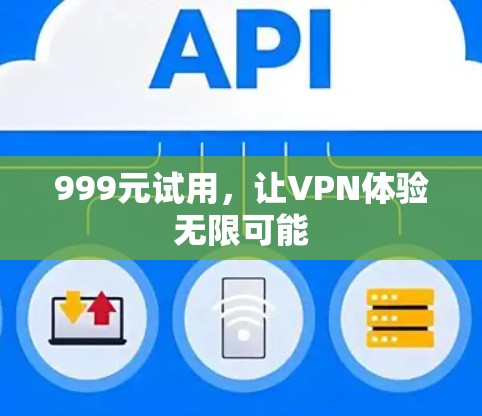 999元试用，让VPN体验无限可能