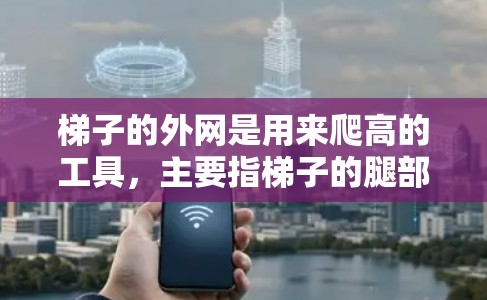 梯子的外网是用来爬高的工具，主要指梯子的腿部分。使用梯子时，需要考虑以下几个关键因素来确保安全和有效