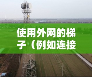 使用外网的梯子（例如连接到云服务器或外部服务器）需要遵循以下步骤