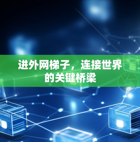 进外网梯子，连接世界的关键桥梁