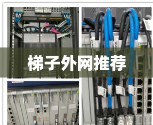 梯子外网推荐 梯子外网推荐