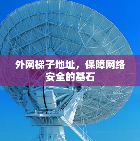 外网梯子地址,保障网络安全的基石 外网梯子地址,保障网络安全的基石