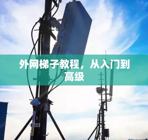 外网梯子教程，从入门到高级